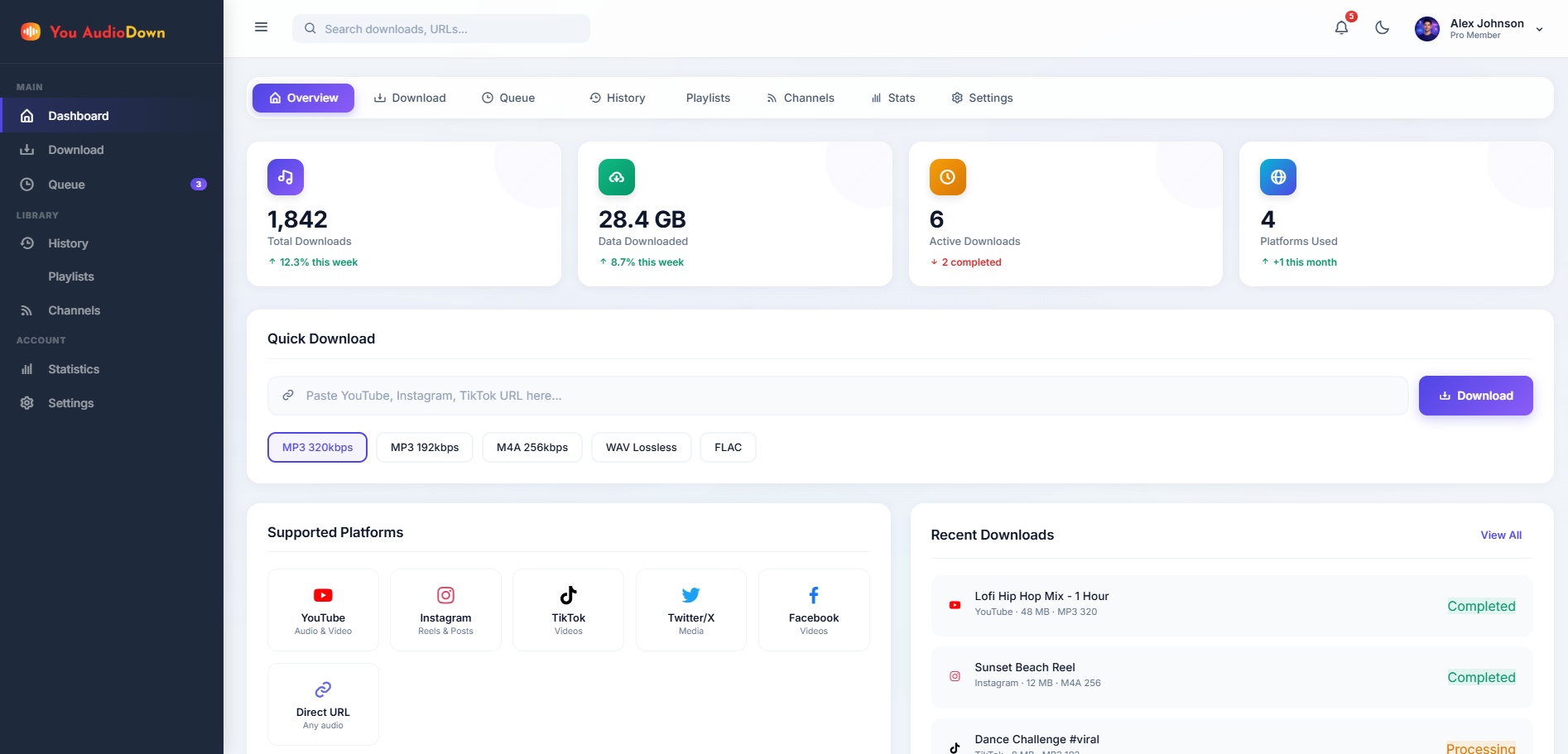 YouAudioDown Dashboard